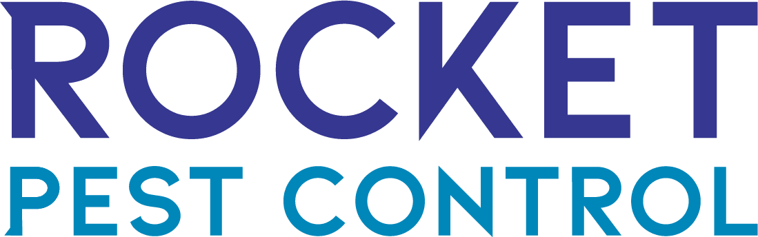 Future Services Inc logo