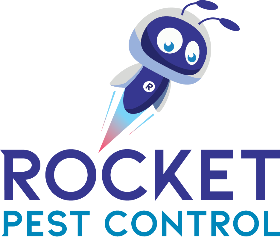 Gordon - Rocket Pest Control - Pest Control And Exterminator Services