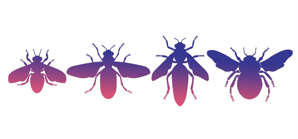 Bee, Wasp, and Hornet Identification in South Carolina, North Carolina, & Georgia