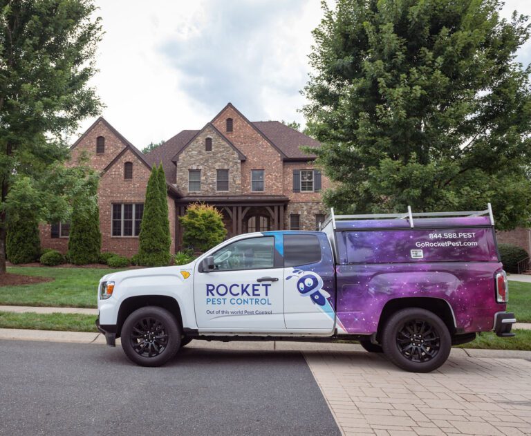 Pest Control for Your Home Residential Exterminators