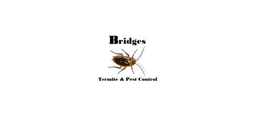 Bridge’s Termite & Pest Control: Expanding Our Reach to Serve You Better in South Carolina, North Carolina, & Georgia