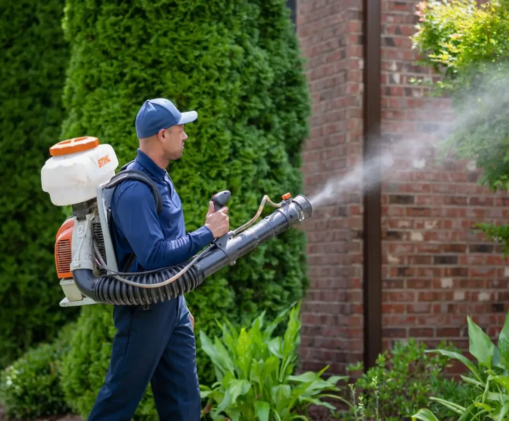 Mosquito control in South Carolina, North Carolina, Georgia and Florida by Rocket Pest Control