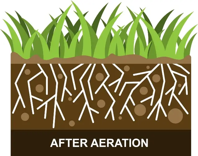 Grass and soil illustration showing the benefits of lawn services after Aeration services by Rocket Pest Control in Georgia and Florida