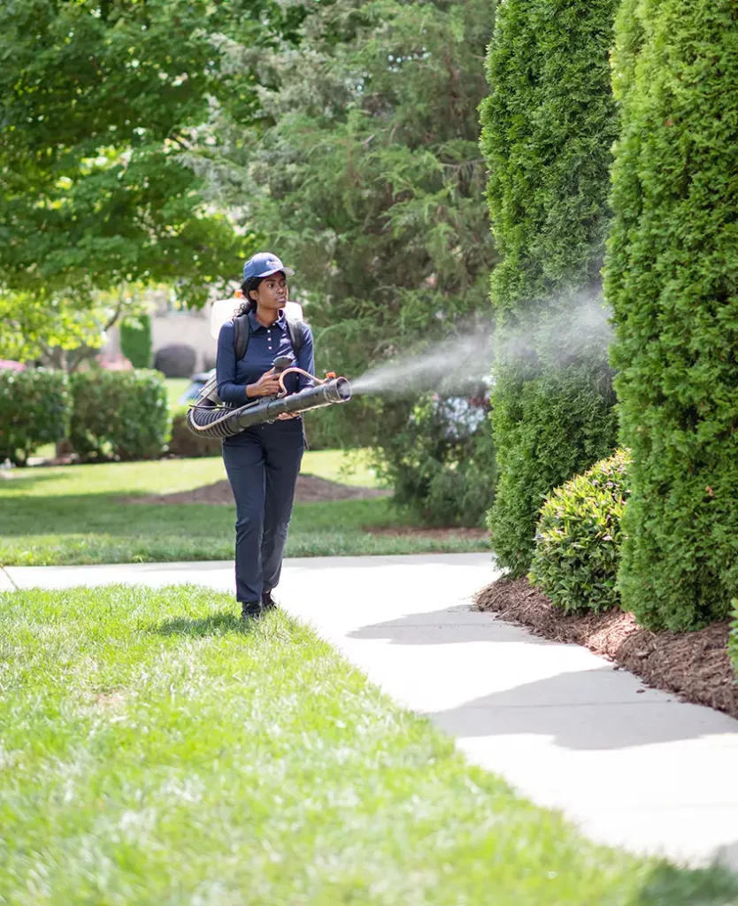 Rocket Employee Spraying Mosquito Repellent | Mosquito Control Services