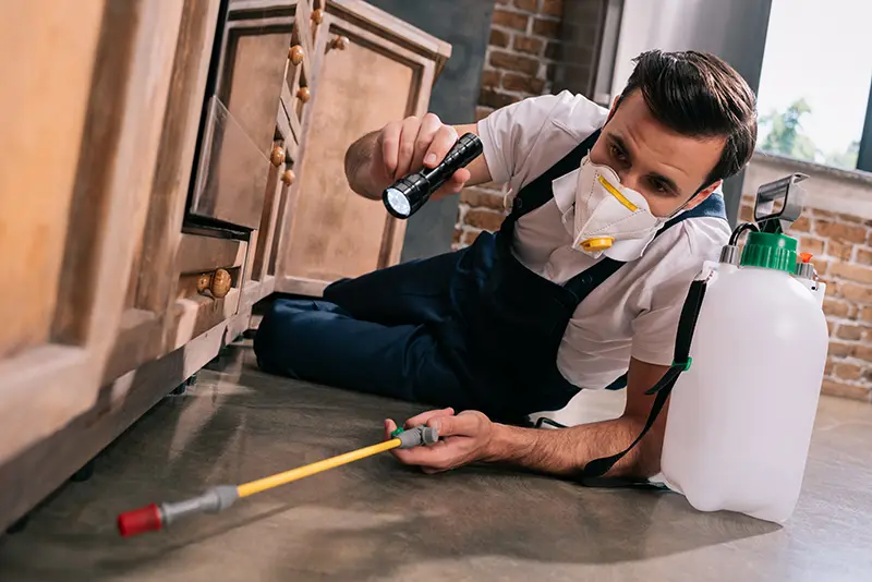 A pest control worker inspecting for pests under cabinet in the kitchen and using a flashlight in a new construction home