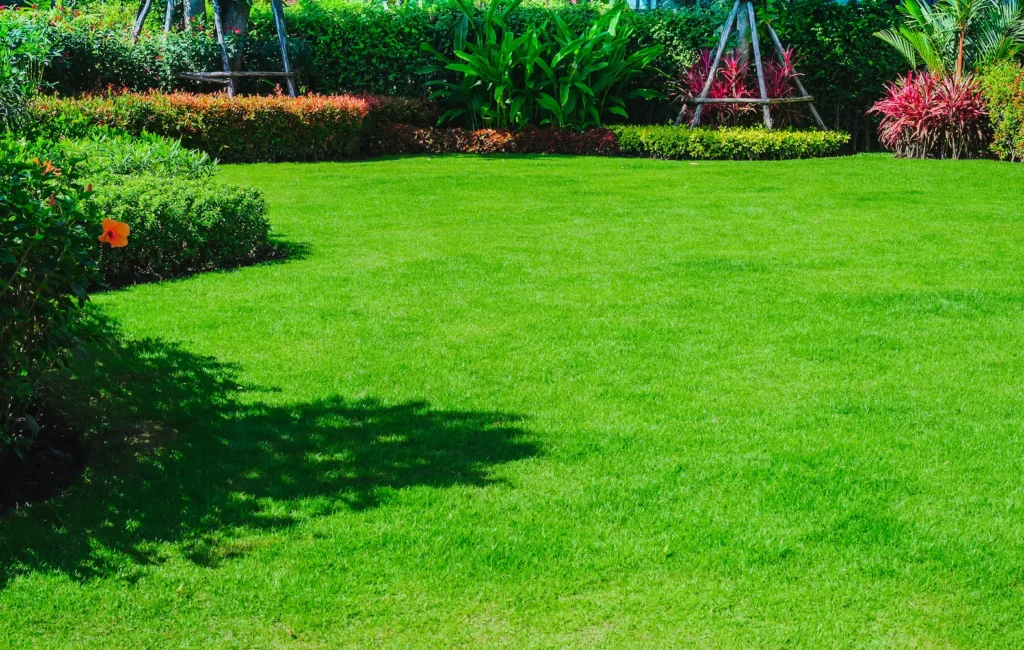 A first-time homeowner’s front lawn with garden design