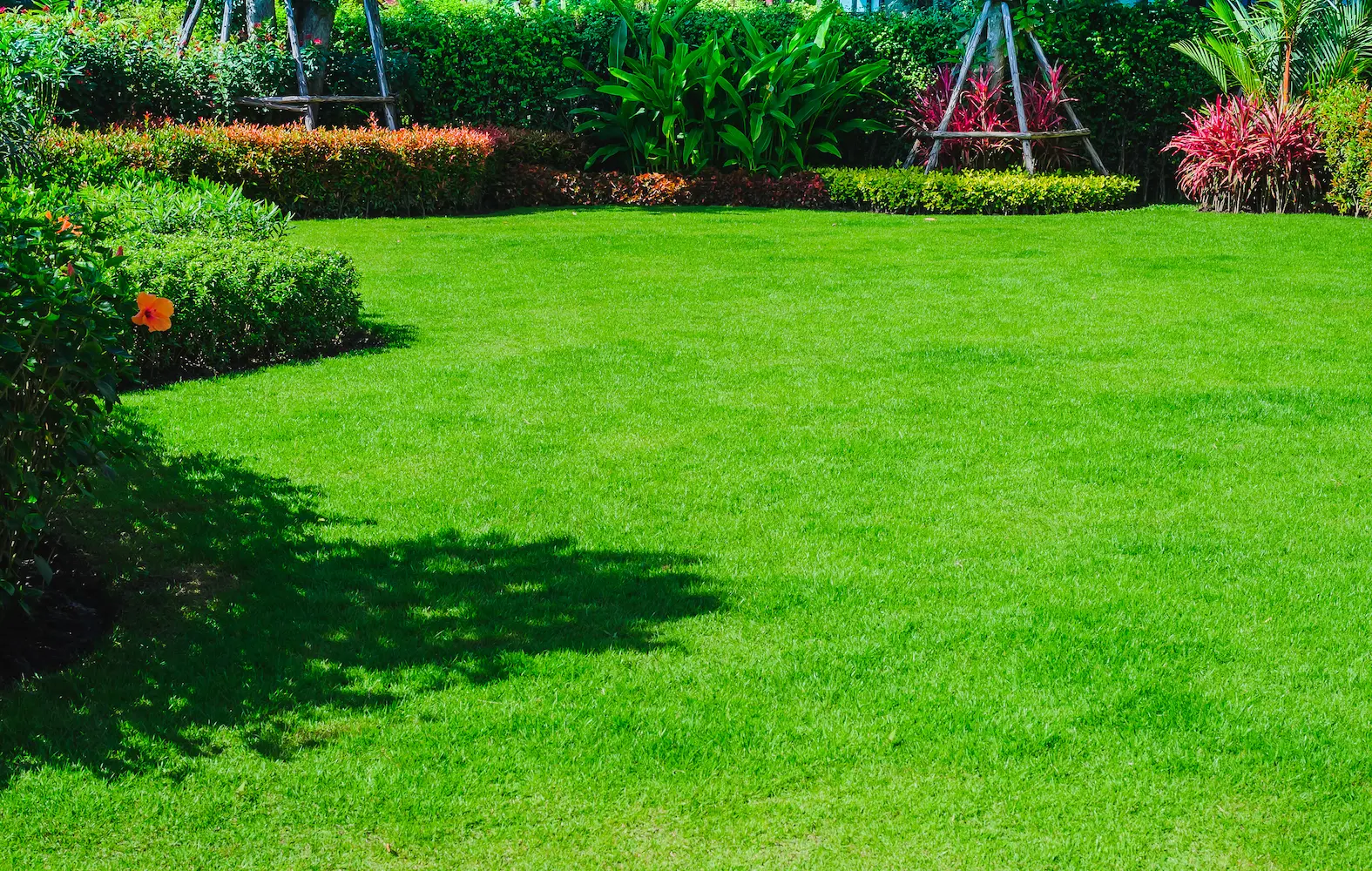 A first-time homeowner’s front lawn with garden design