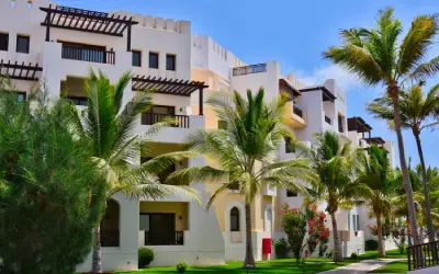 building with multiple palm trees with high quality care and maintenance