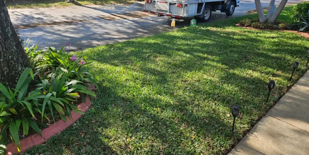 Freshly mowed and edged green lawn after professional service by Rocket Pest Control