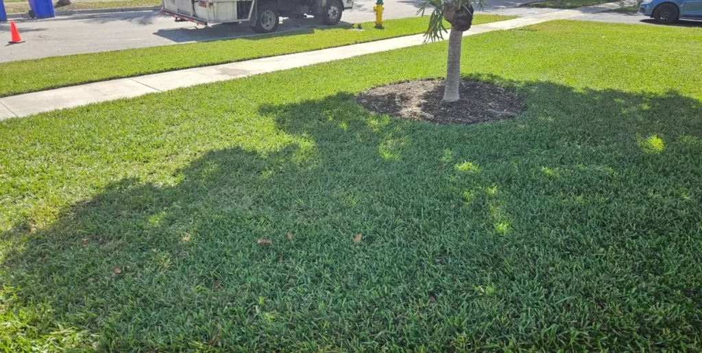 Lush, healthy front yard grass maintained by Rocket Pest Control's lawn care team