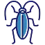 Cockroach control by Rocket Pest Control in South Carolina, North Carolina, Georgia, and Florida