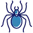 Spider control by Rocket Pest Control in South Carolina, North Carolina, Georgia, and Florida