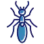 Termite treatment by Rocket Pest Control in South Carolina, North Carolina, Georgia, and Florida
