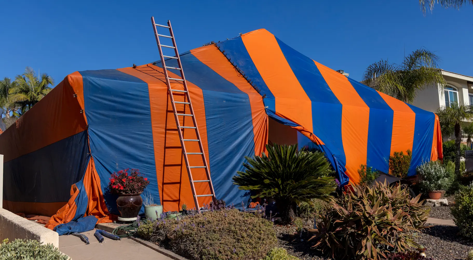 home covered in an orange and blue tent for termite tenting fumigation